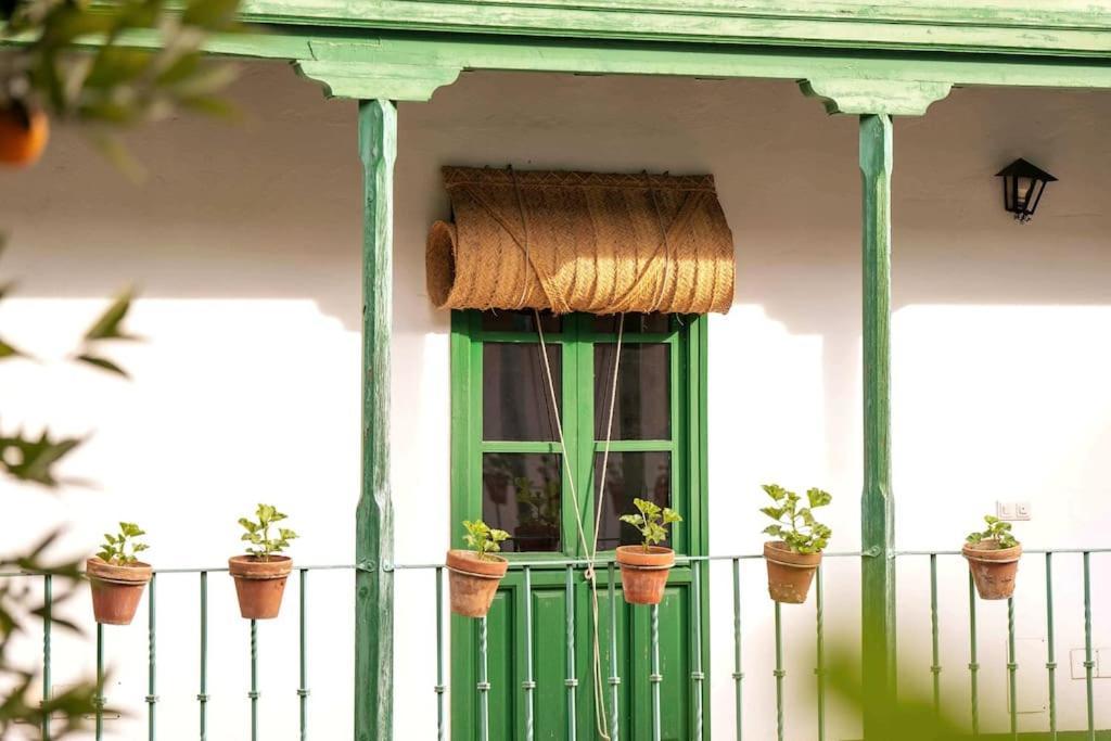 Apartamento A Estrenar En Calle Alcazares Sevilha Exterior foto